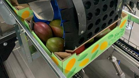 NIRAS Tray Vulmachine